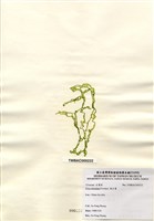 藏品(網石蓴)的圖片